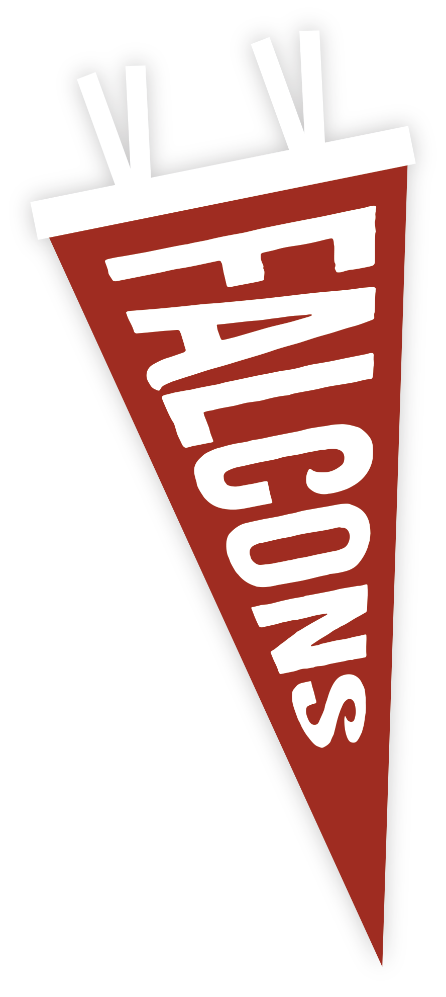 falcons banner